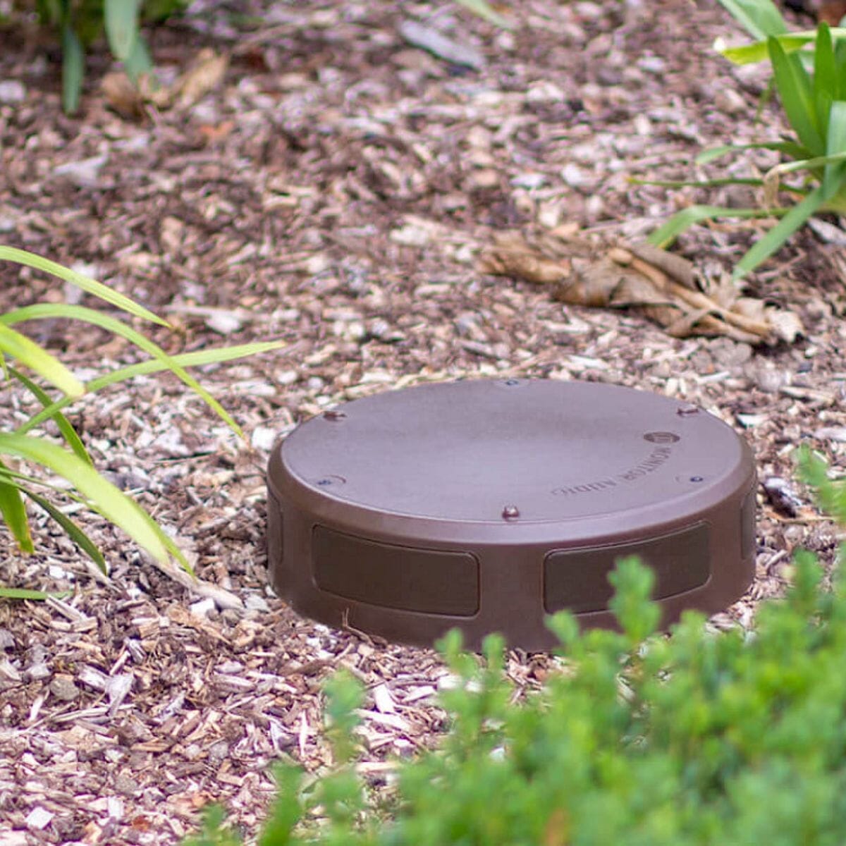 Monitor Audio CLG-W10 10" Outdoor Subwoofer Outdoor Speakers Monitor Audio