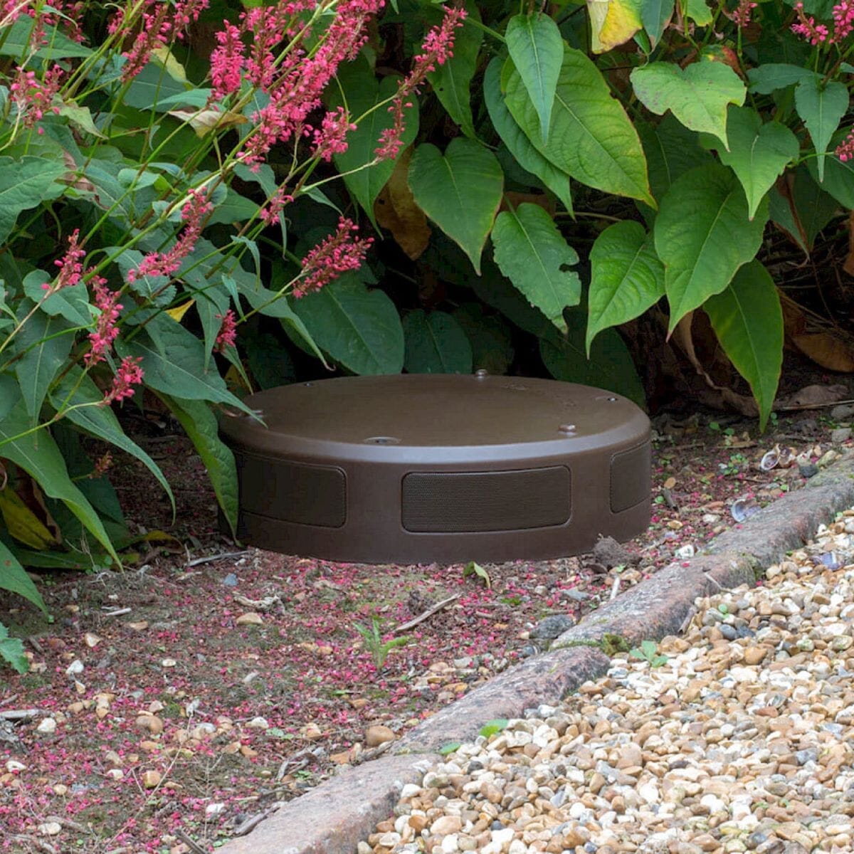 Monitor Audio CLG-W10 10" Outdoor Subwoofer Outdoor Speakers Monitor Audio