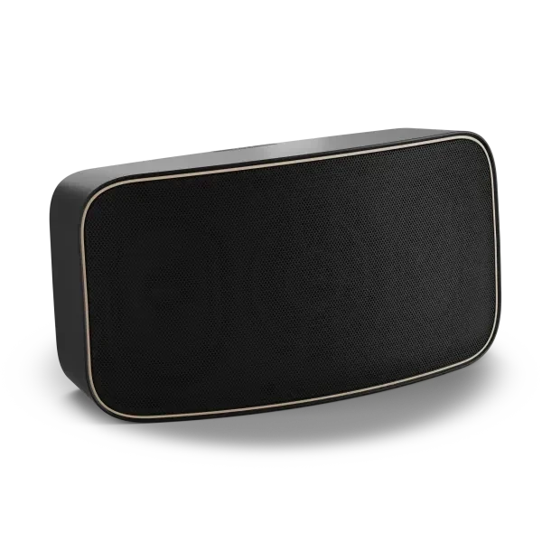 WiiM AMP Wi-Fi & Bluetooth Amplifier + DALI Gardian OW 6 6.5" Outdoor Speakers Outdoor Speaker Systems WiiM / DALI