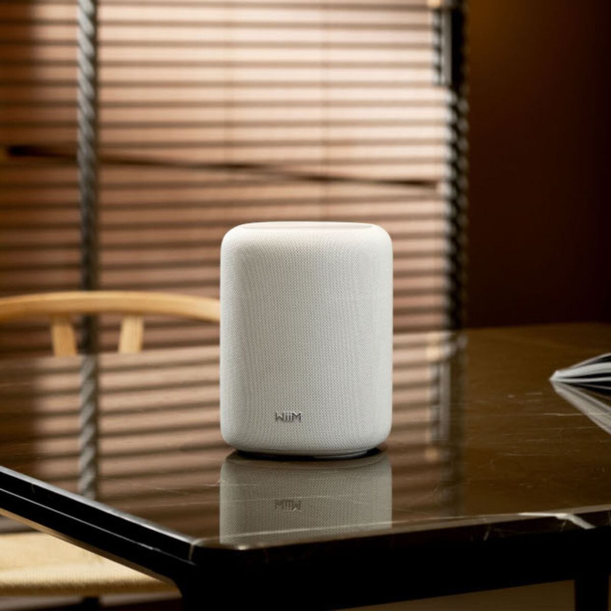 WiiM Sound Lite Wi-Fi Speaker WiFi Speakers WiiM