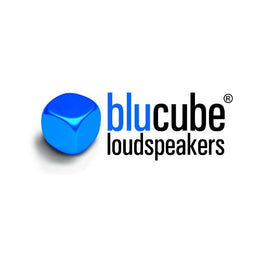 Blucube logo