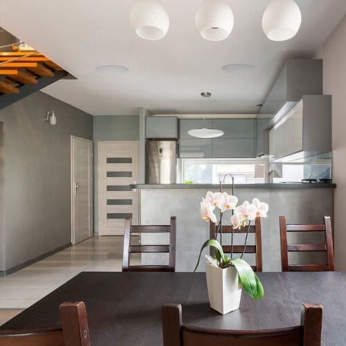 Kitchen Ceiling Speakers