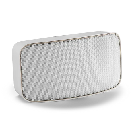 DALI Gardian OW 6 Outdoor Speakers (Pair) Outdoor Speakers DALI 