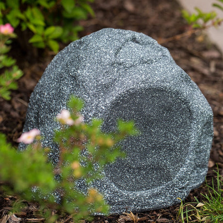 Q Acoustics QI65LW 6.5" Rock Speaker (Each) Outdoor Speakers Q Acoustics 