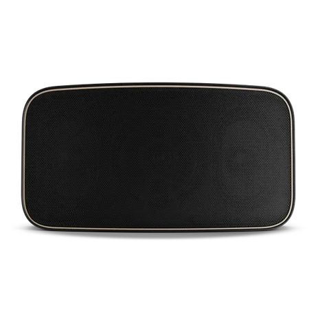 WiiM AMP Wi-Fi & Bluetooth Amplifier + DALI Gardian OW 6 6.5" Outdoor Speakers Outdoor Speaker Systems WiiM / DALI 