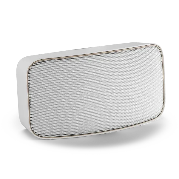 WiiM AMP Wi-Fi & Bluetooth Amplifier + DALI Gardian OW 6 6.5" Outdoor Speakers Outdoor Speaker Systems WiiM / DALI 