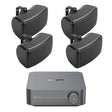 WiiM AMP Wi-Fi & Bluetooth Amplifier + Q Acoustics QI65EW 6.5" Outdoor Speakers Outdoor Speaker Systems WiiM / Q Acoustics Two Pairs Black 