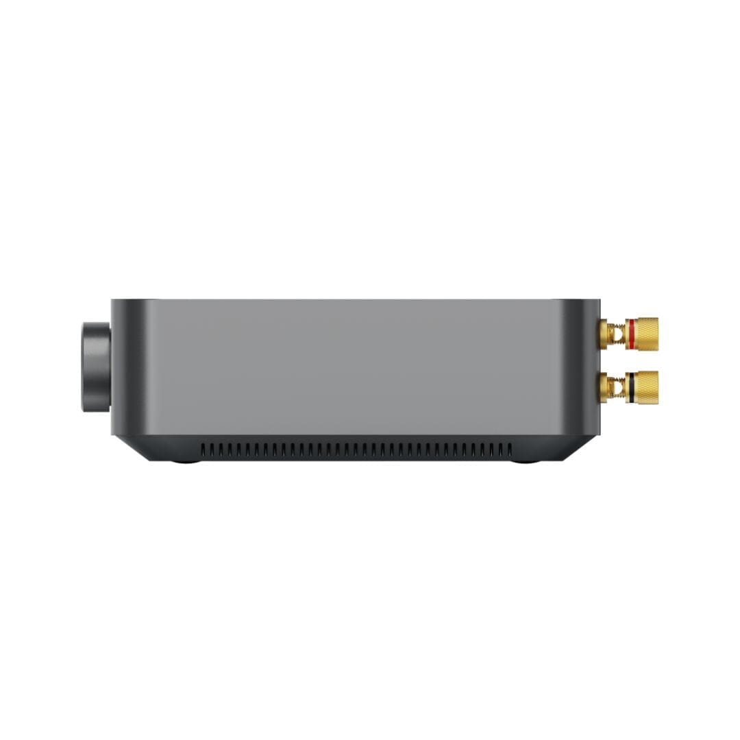 WiiM AMP WiFi Multiroom Amplifier with Bluetooth, Airplay 2, Alexa Amplifiers WiiM 