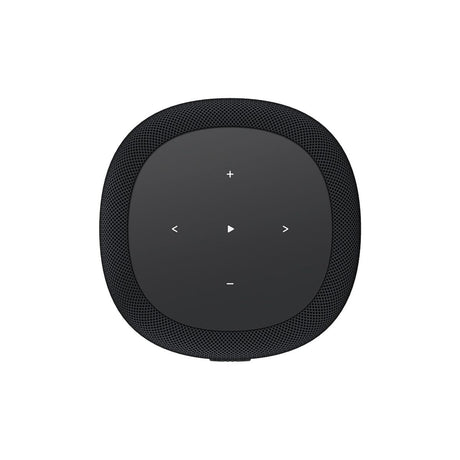 WiiM Sound Lite Wi-Fi Speaker WiFi Speakers WiiM 