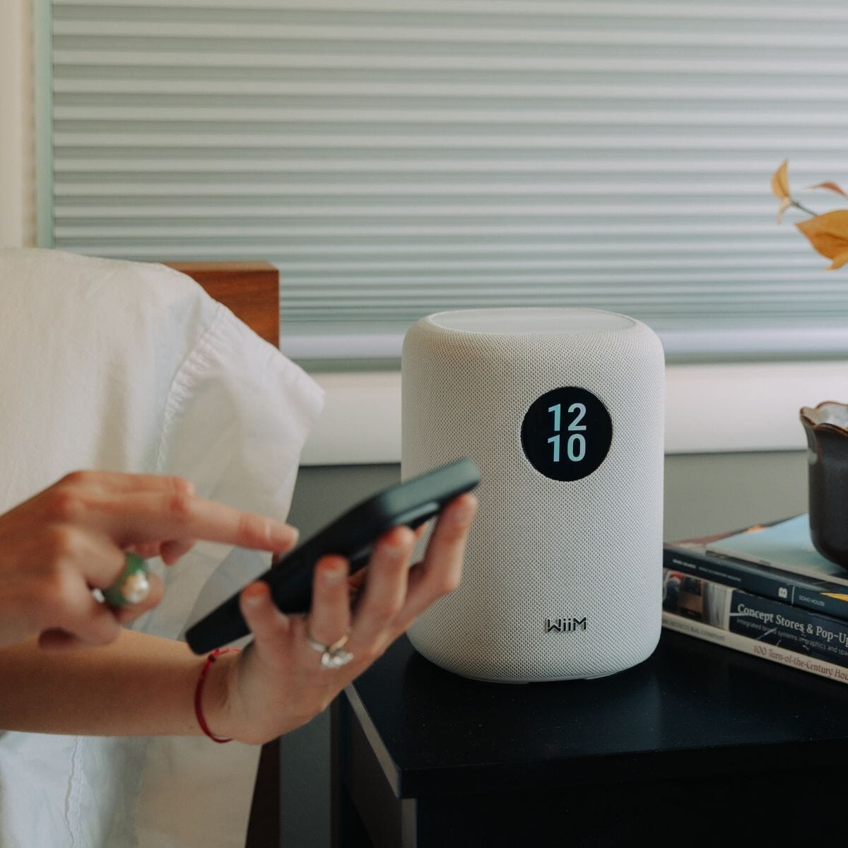 WiiM Sound Speaker - WiFi Multiroom Wireless Speakers WiiM 