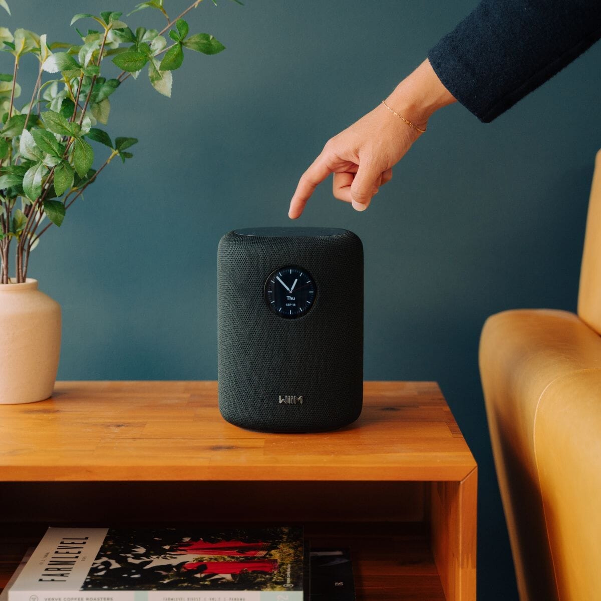 WiiM Sound Speaker - WiFi Multiroom Wireless Speakers WiiM 