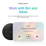 WiiM Mini - Multiroom WiFi Streamer with Airplay 2 Music Streamers WiiM 